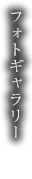 フォトギャラリー